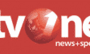 tvone_logo_2012.svg_